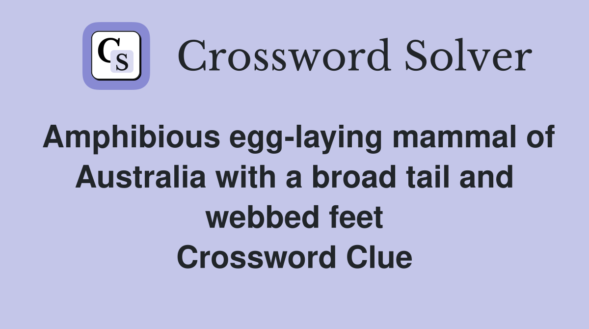 Amphibious egg laying mammal of Australia with a broad tail and webbed
